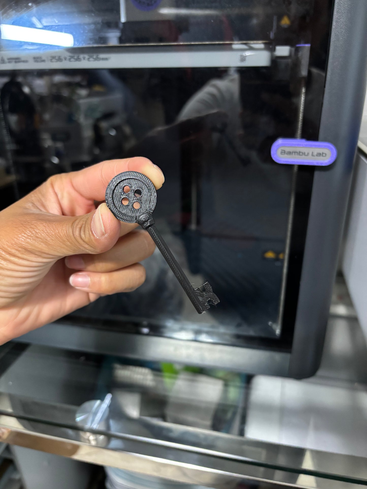 Coraline 3D Printed Objects
