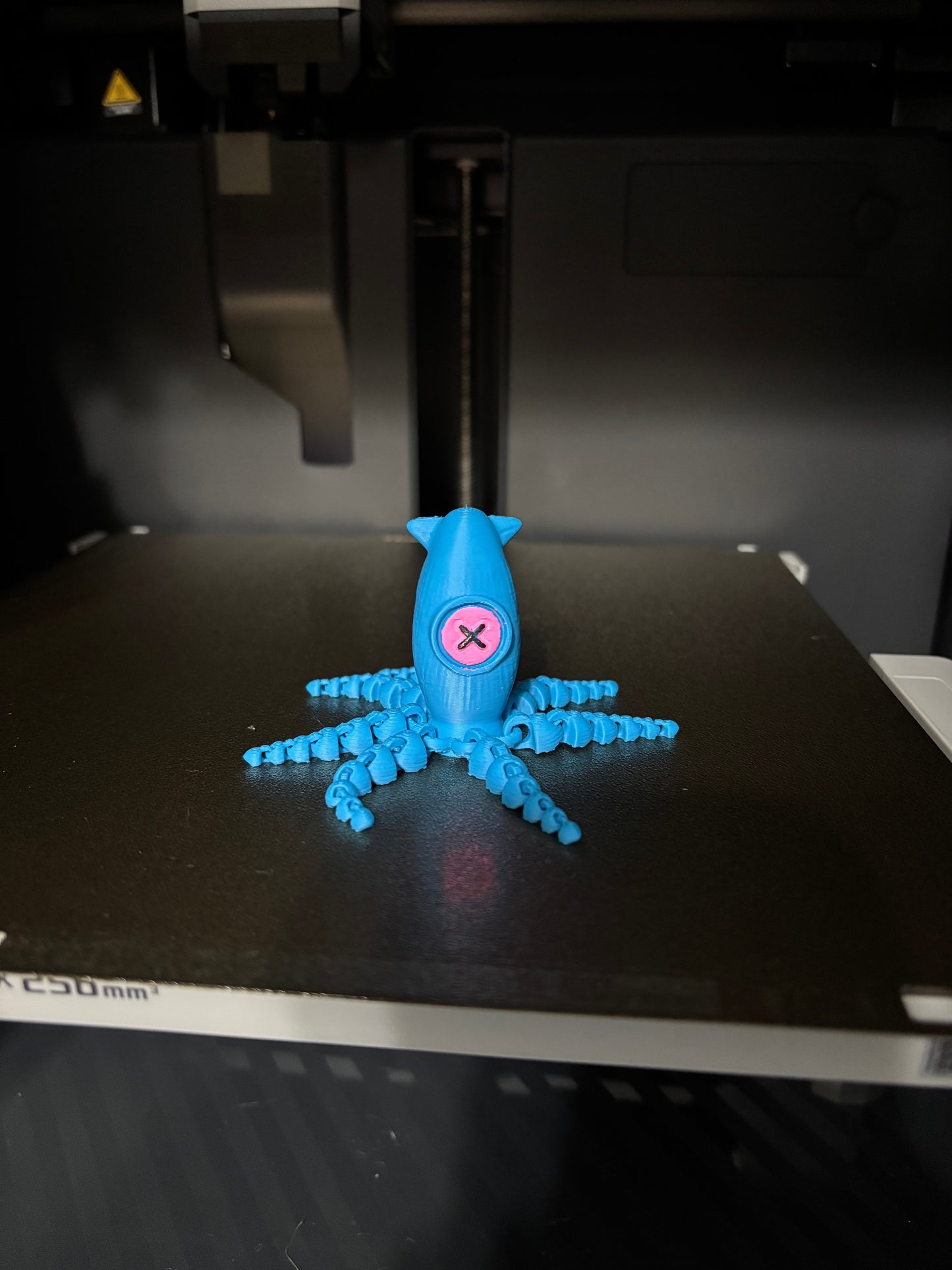 Coraline 3D Printed Objects