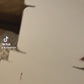 CUSTOM BANNERS